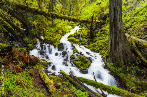 Cascade waterfalls in Oregon forest hike trail