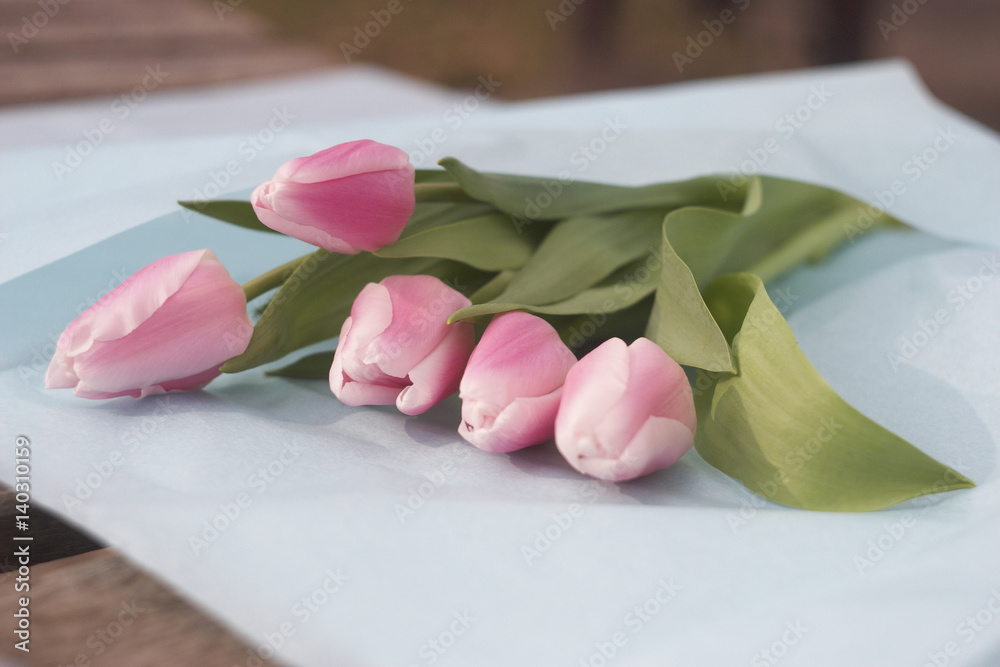 Gently pink tulips in blue paper
