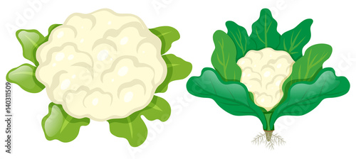 Cauliflower heads with leaves
