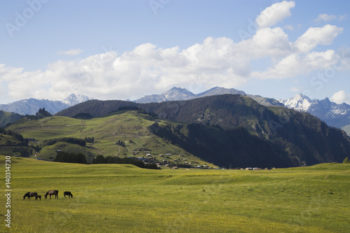 Paços horse on a background of peaceful rural landscape.