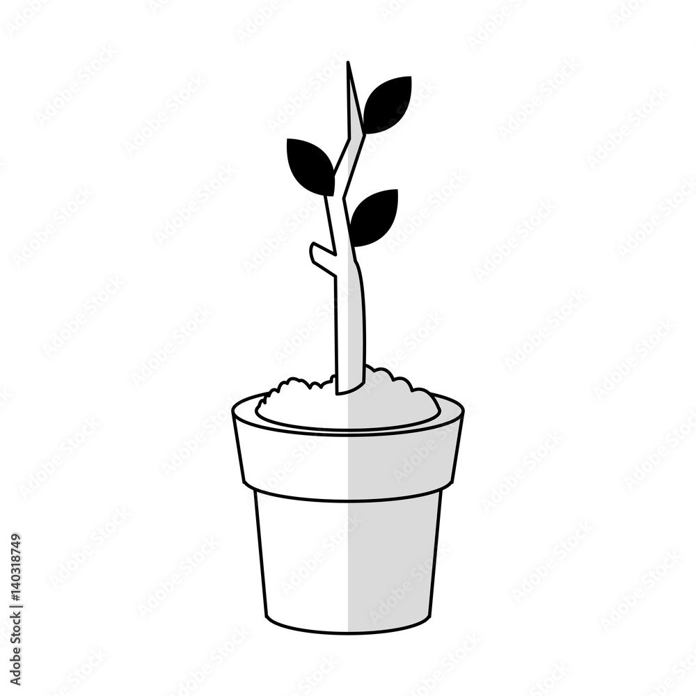 plant in pot icon image vector illustration design 