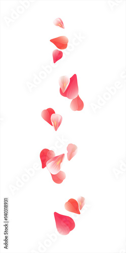 Pink Red flying petals isolated on white. Sakura Roses petals. Vector