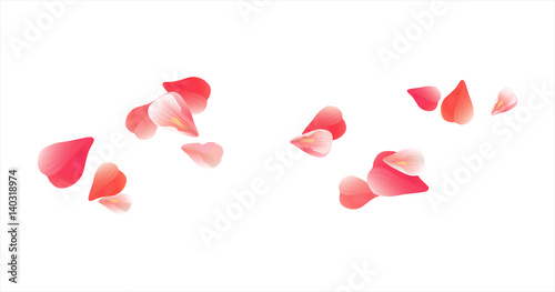 Pink Red flying petals isolated on white. Sakura Roses petals. Vector
