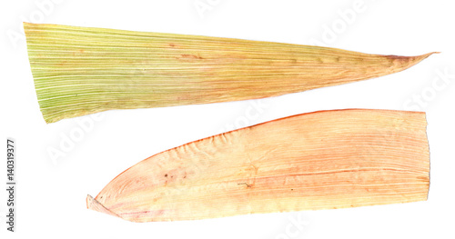white maize leaves pressed isolated on white