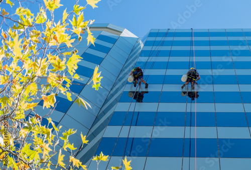 Bilde på lerret Two window washers abseiling down glass skyscraper
