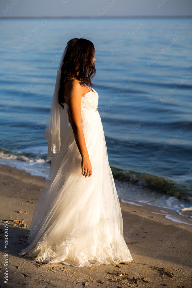 portrait of brunette bride in wedding dress with a beautiful hairstyle, veil and makeup on the seafront portrait of brunette bride in wedding dress with a beautiful hairstyle, veil and makeup on the seafront
