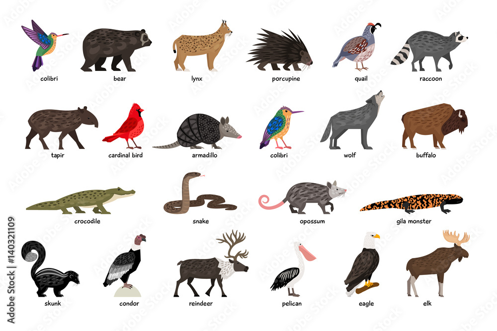 Large set of animals of North America Stock Vector | Adobe Stock