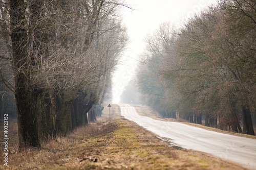 Empty spring road. Sunny march day.