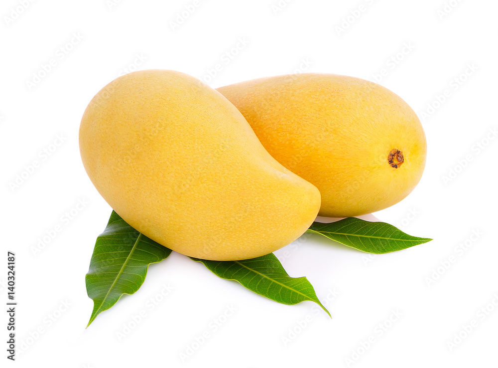 Mango: King of the fruits