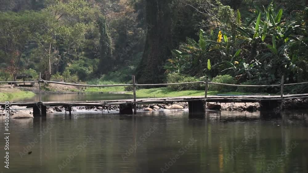 bamboo bridge over the river in the national park of an Asian country bamboo bridge over the river in the national park of an Asian country