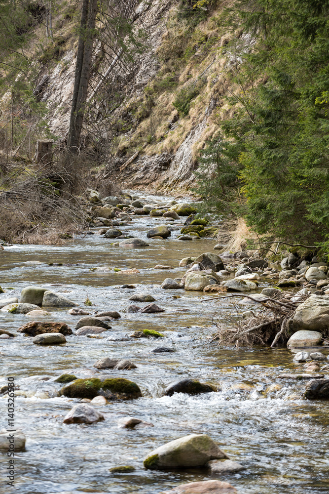 Mountain stream in Chocholwska Valley. Tatra, Poland Mountain stream in Chocholwska Valley. Tatra, Poland