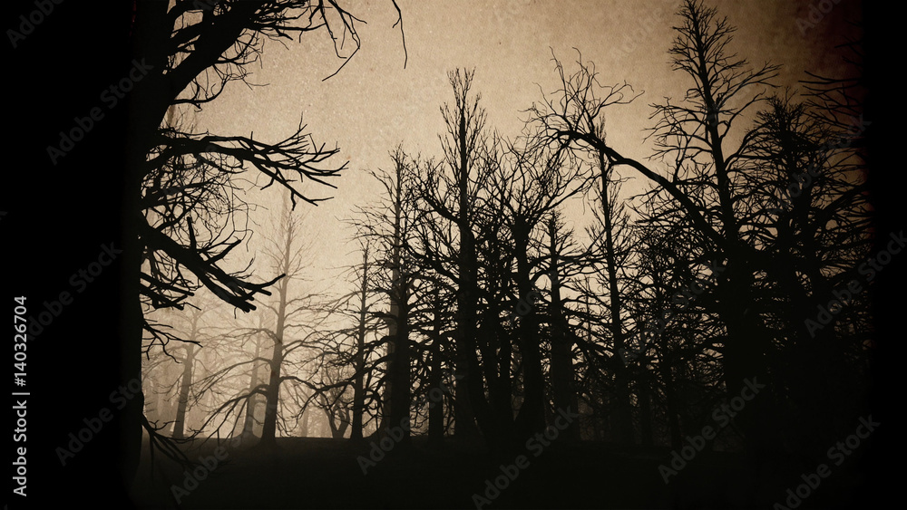 Obraz premium Dead Forest Misty Woods