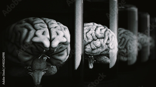 Photos Human Brains in Science Laboratory Glasses
