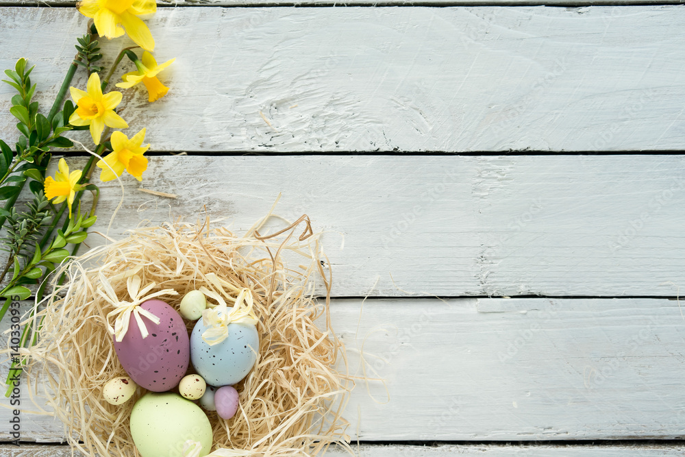 easter theme background eggs bunny nest daffodils symbol spring
