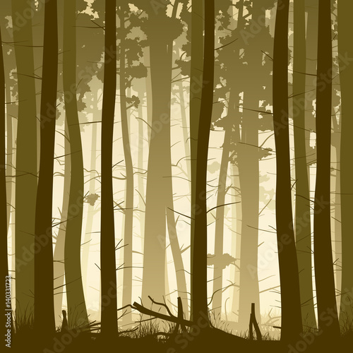 Square illustration of misty coniferous forest from inside.