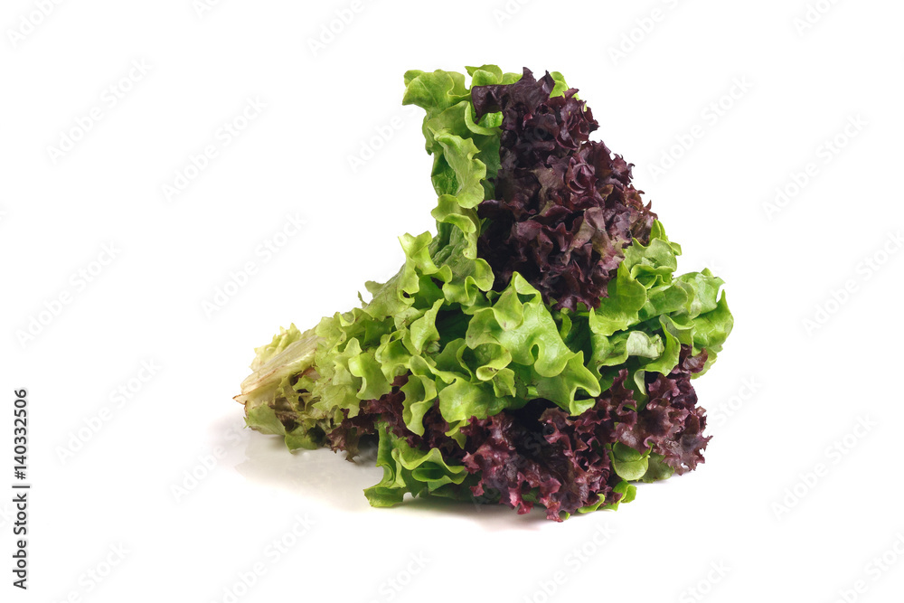 lettuce