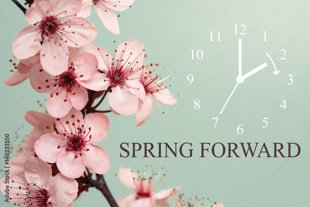 Spring Forward - obrazy, fototapety, plakaty 