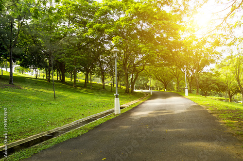 Fototapeta Naklejka Na Ścianę i Meble -  Beautiful morning light in public park with green grass field and jogging path.