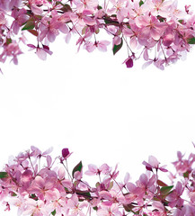Frame of spring flowers and space for text