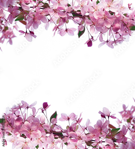 Frame of spring flowers and space for text