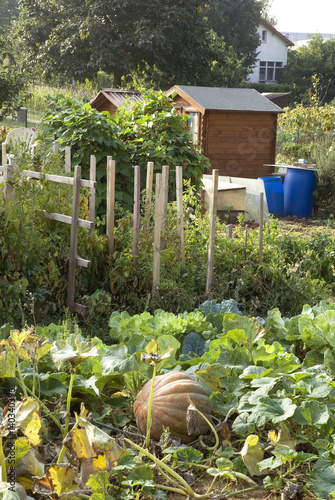 Les jardins ouvriers. Villeneuve le Roi, 94