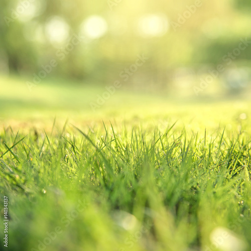 Wiosny i natury tła pojęcie, Zamyka w górę zielonej trawy pola z zamazanym parkowym tłem i światłem słonecznym.