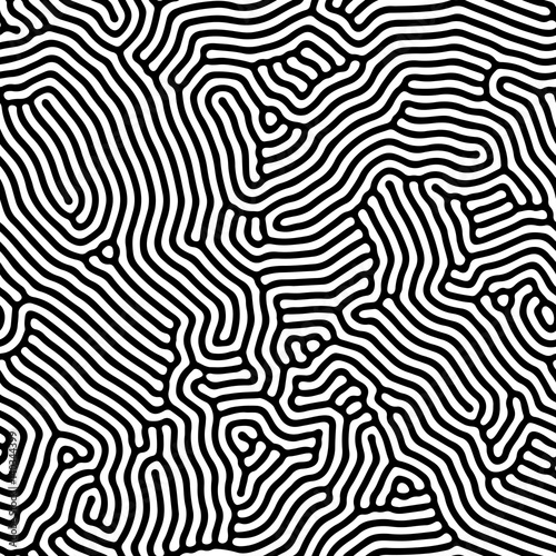 Abstract background of vector organic irregular lines maze pattern