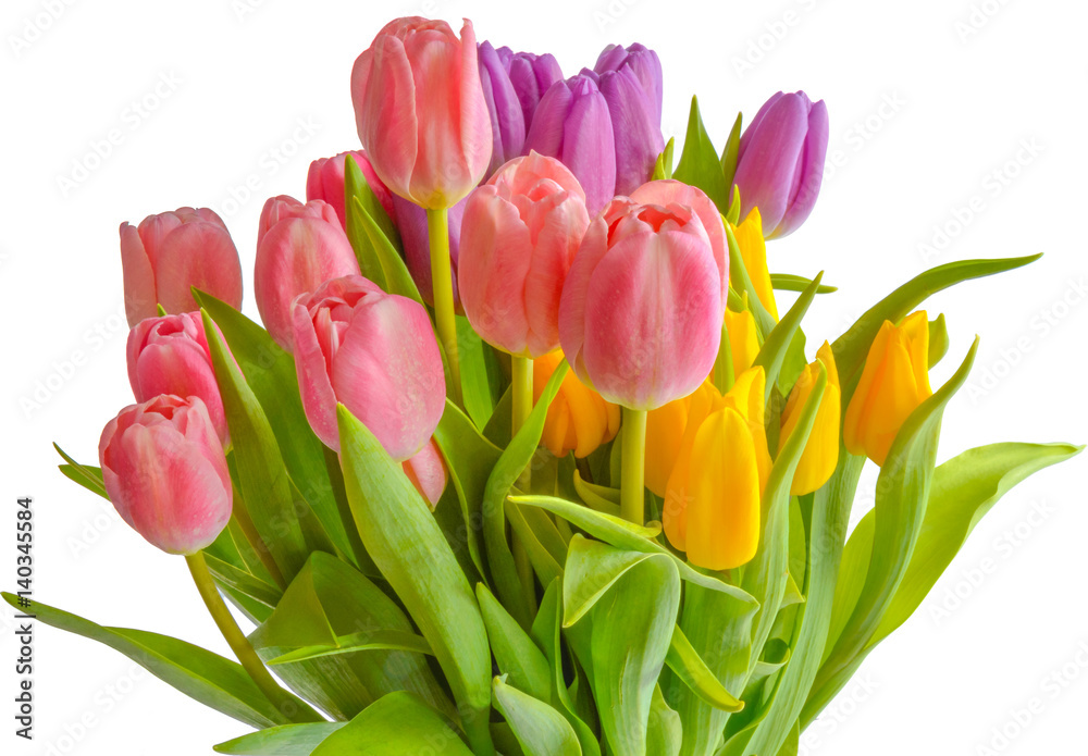 Spring bouquet. The image is isolated. Spring bouquet. The image is isolated.