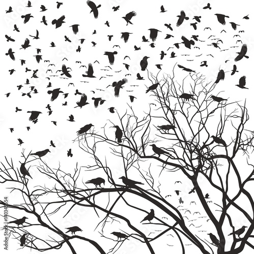 Flock of crows over tree