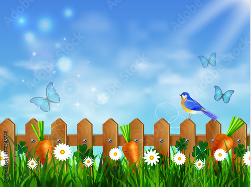 Green grass lawn with sunrise on blue sky