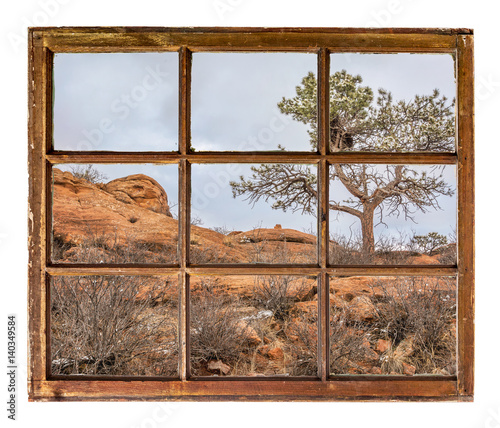 pine tree on sandstome cliff window view