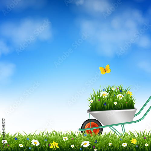 Garden Wheelbarrow And Grass