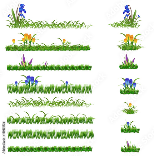 green grass and flowers set