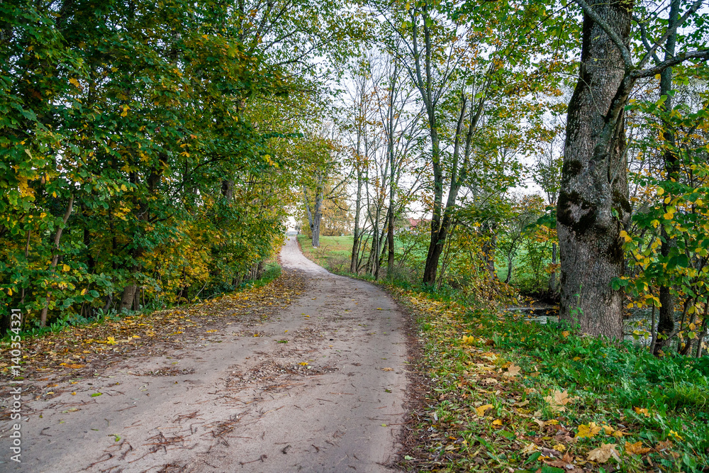 Fototapeta premium country road
