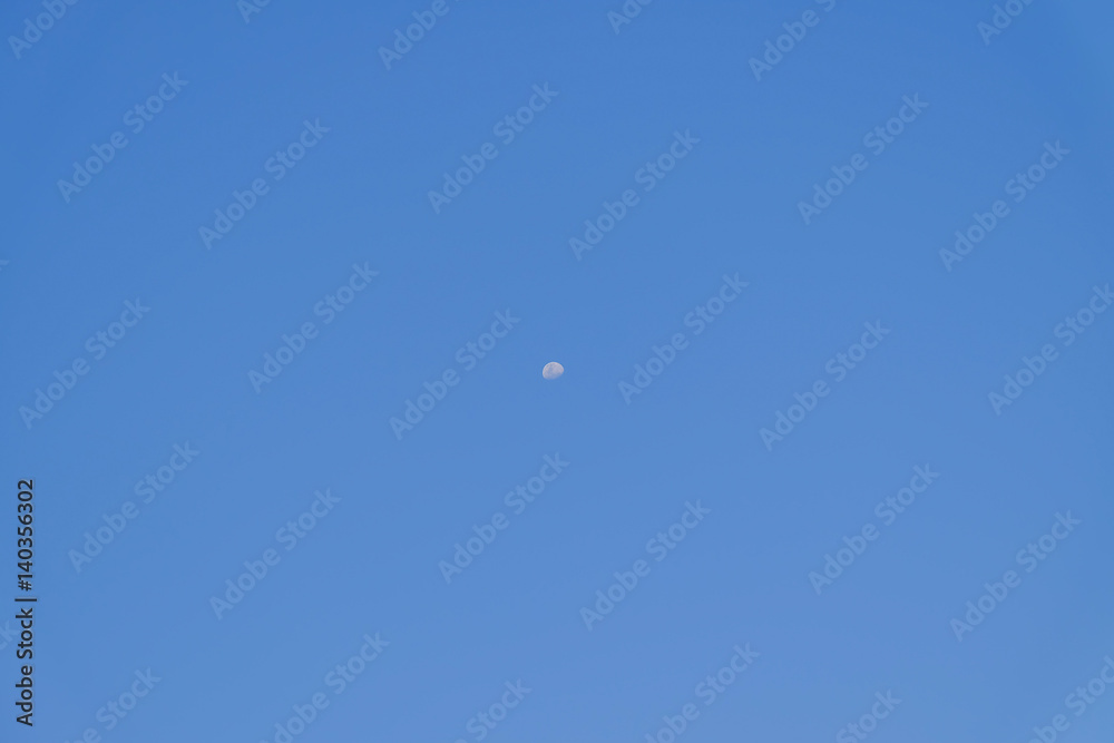moon moon