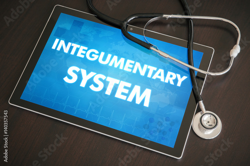 Integumentary system (cutaneous disease related) diagnosis medical concept on tablet screen with stethoscope photo