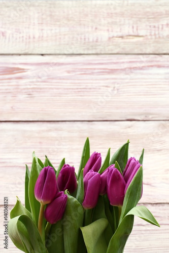 Fototapeta Naklejka Na Ścianę i Meble -  Tulipan