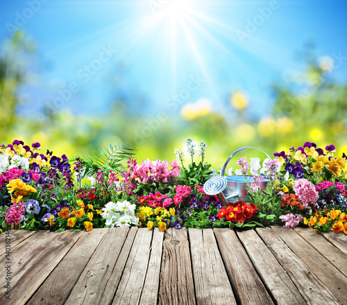 Fototapeta Naklejka Na Ścianę i Meble -  Wooden Desk With Flowers In Garden
