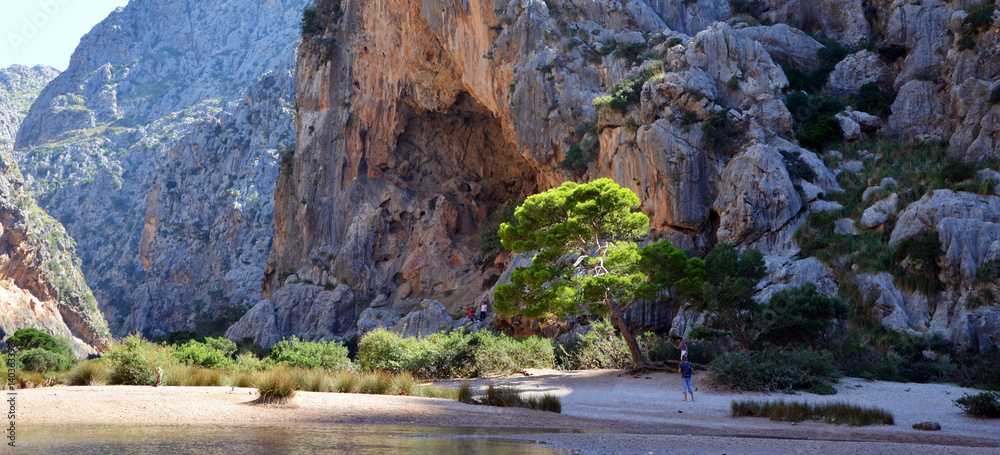 Beautiful bay in Torrent de Pareis with sunr ays on tree, North of Mallorca,Europe