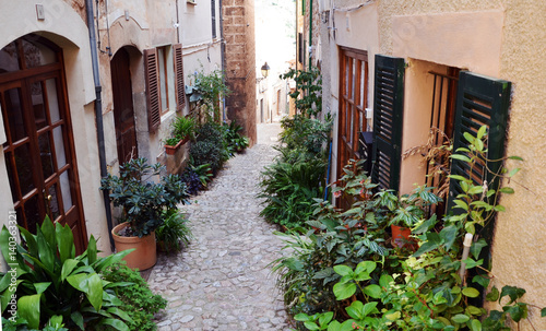 Plants in narrow street in Valldemossa a village on the island of Majorca, Spain
