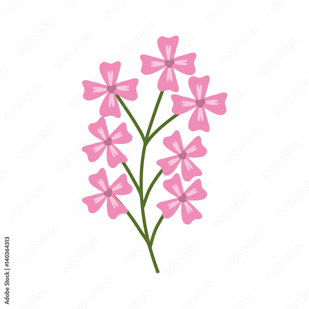 pink branch flowers decoration vector illustration eps 10