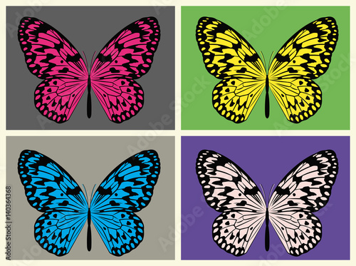 A Illustrated Set Of Four Colorful Rice Butterflies Vector