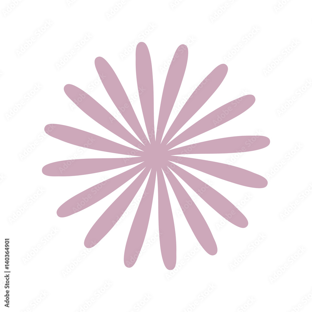 star anise flower decoration vector illustration eps 10