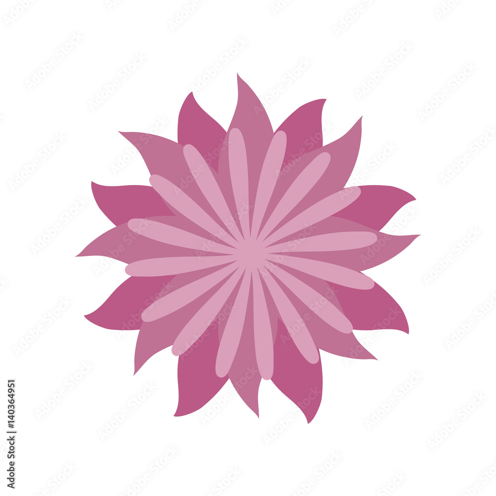 flower aster decoration image vector illustration eps 10