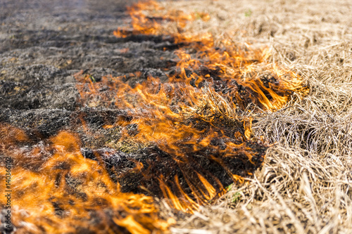 Burning of remains in agricultural cultivation