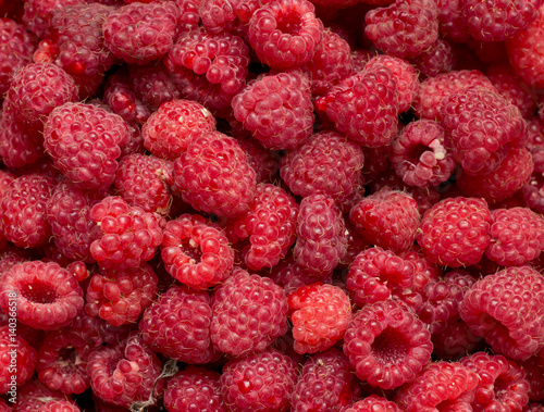 Fresh Raspberry background