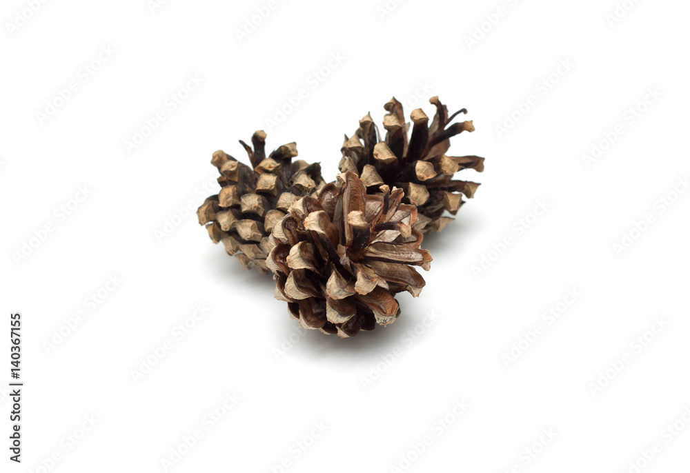 Pine cones isolated on white background Pine cones isolated on white background