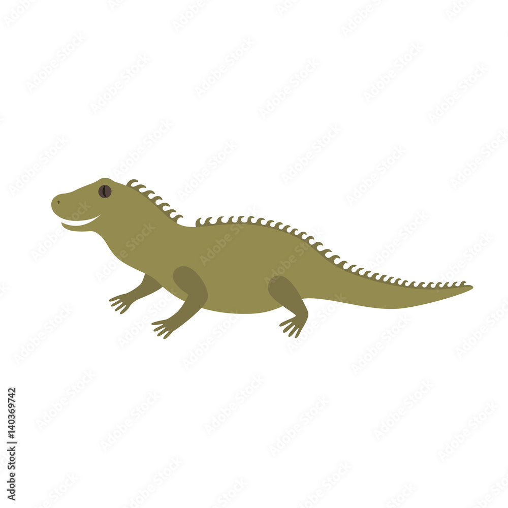 Fototapeta premium Tuatara of New Zealand