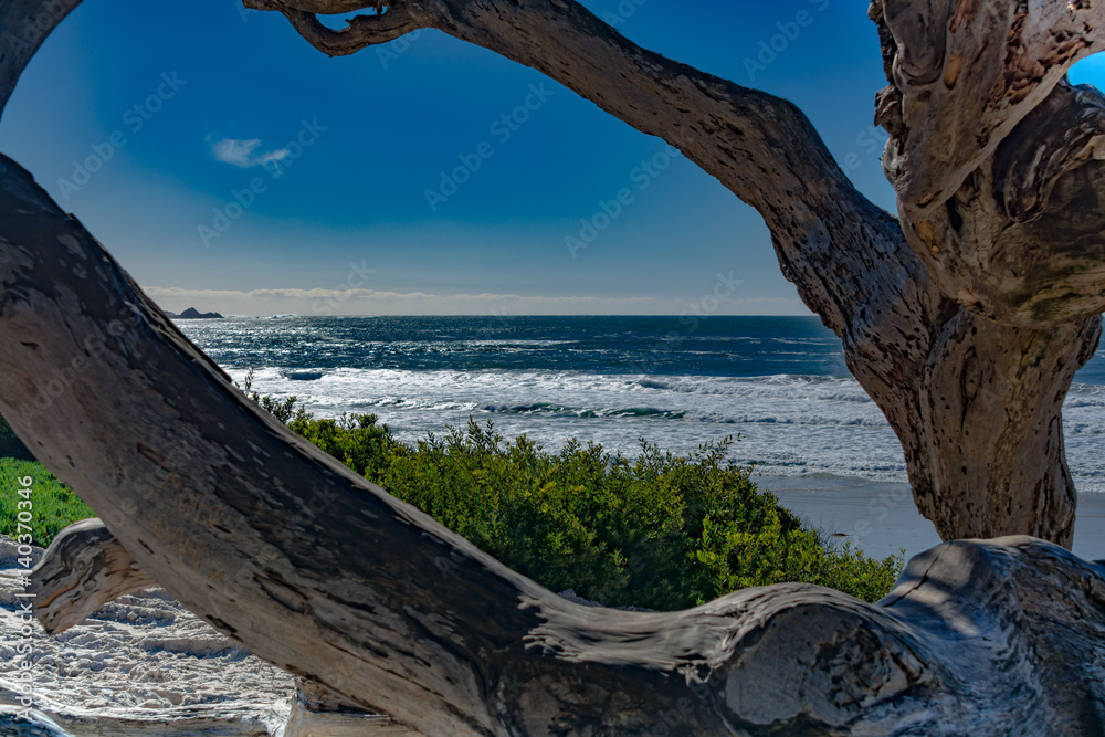 Fototapeta premium Carmel Beach California