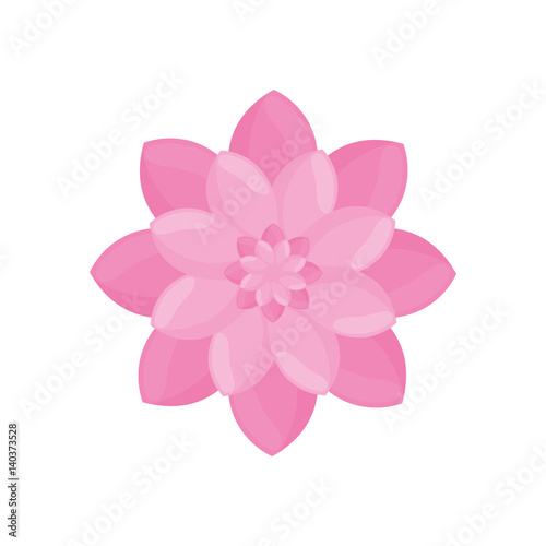 pink flower garden decoration vector illustration eps 10